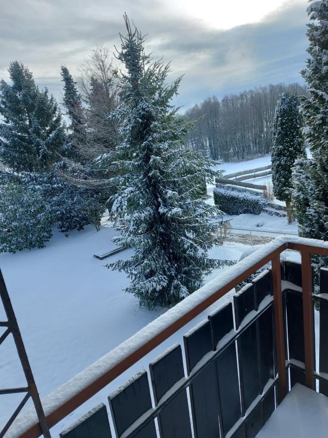 Ferienwohnung "High End" Höchenschwand Dış mekan fotoğraf